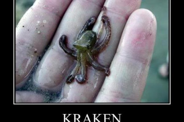 Kraken вход зеркало