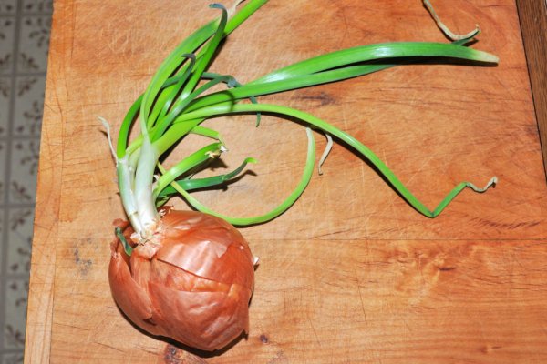 Не входит в кракен пользователь не найден