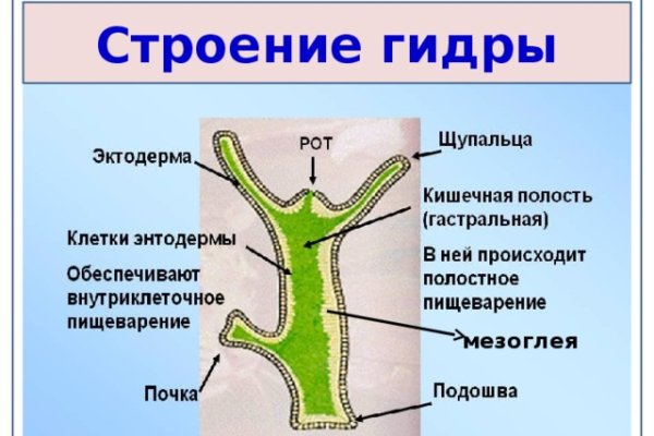 Кракен новая гидра